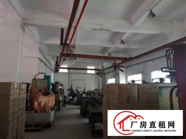  长安沙头原房东厂房一楼带现成行车950平方，有办公室精装修