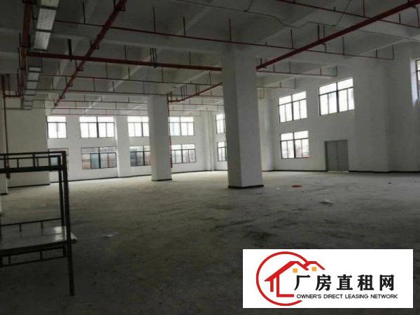  靠近深圳全新1楼3000平米大小分租厂房招租