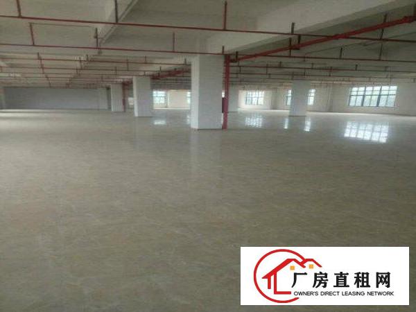  靠近深圳全新1楼3000平米大小分租厂房招租
