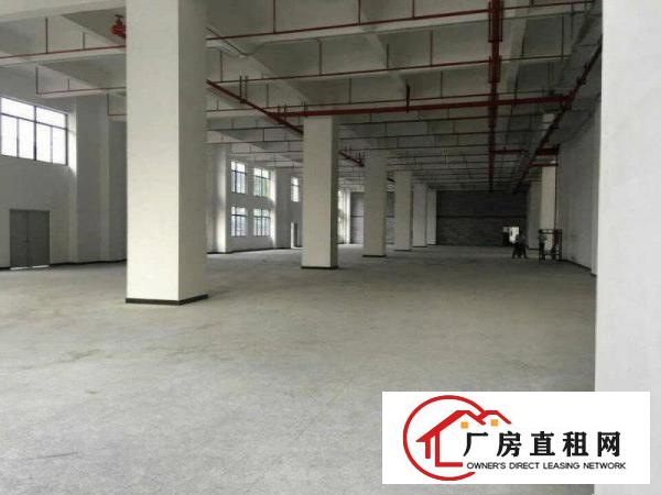  靠近深圳全新1楼3000平米大小分租厂房招租