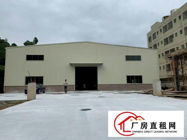  涌头原房东单层钢结构小独院1600平厂房出租滴水8米