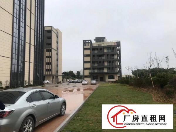  长安镇沙头全新高新厂房出租