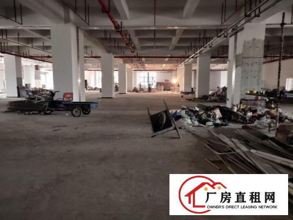  长安镇沙头全新高新厂房出租