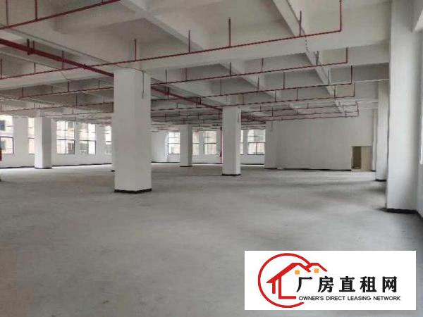  新安大桥下全新重工业厂房楼上2600平出租3部3吨货梯直达