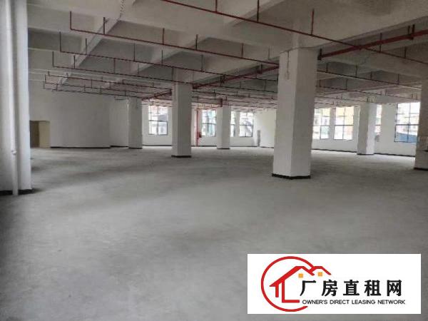  新安大桥下全新重工业厂房楼上2600平出租3部3吨货梯直达