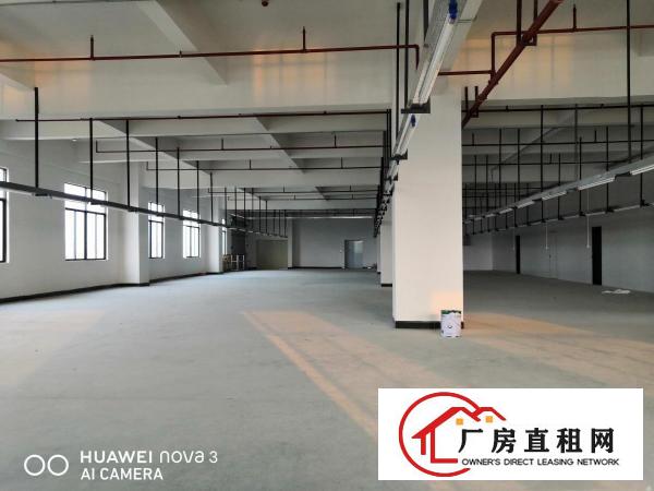  新安大桥下全新重工业厂房楼上2600平出租3部3吨货梯直达