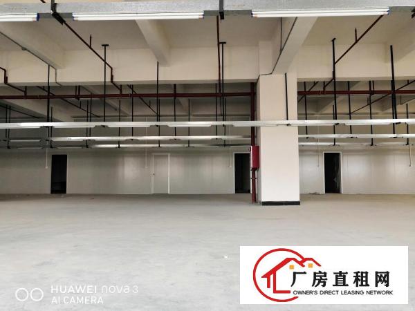  新安大桥下全新重工业厂房楼上2600平出租3部3吨货梯直达