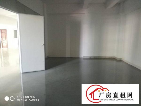  口罩长安沙头金沙花园旁300平厂房出租仓库加工