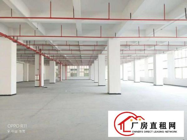  长安镇霄边产业园出租全新二楼750平厂房形象好设施齐全可分租