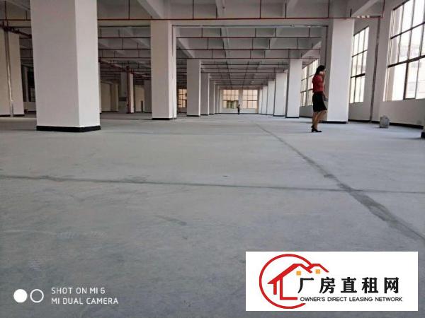  长安镇霄边产业园出租全新二楼750平厂房形象好设施齐全可分租