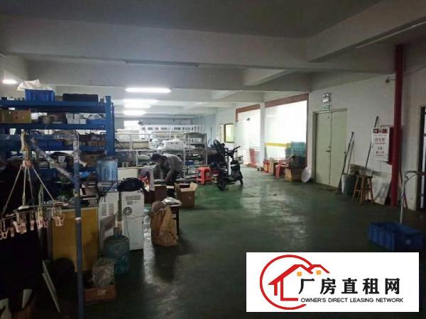  长安沙头市场旁小面积200至500平厂房招租口罩仓库