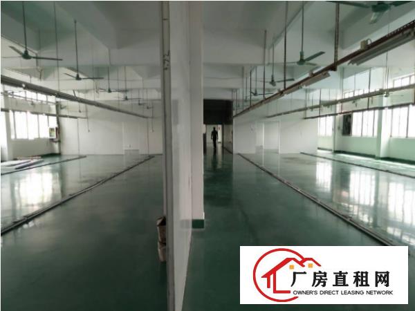  原房东招租！长安涌头二楼2000平带货梯地坪漆