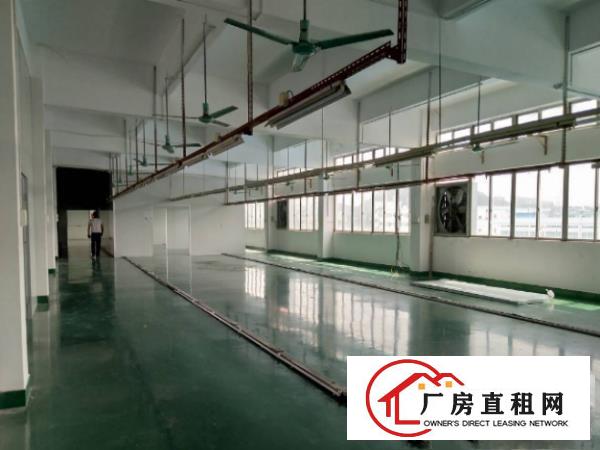  原房东招租！长安涌头二楼2000平带货梯地坪漆