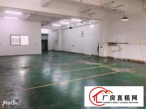  厦岗新出楼上400平方厂房，现成办公室，空地大，4车道直达