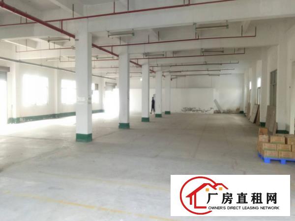  长安沙头，一楼标准800厂房，做污染噪音的福音