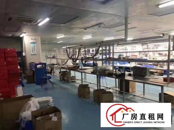  长安街口广深高速出口附近楼上豪华装修1000平方搬机即可生产
