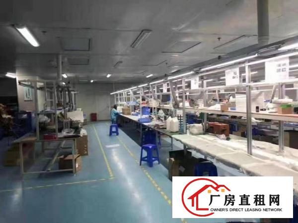  长安街口广深高速出口附近楼上豪华装修1000平方搬机即可生产