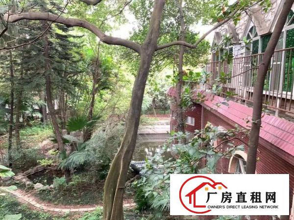  长安沙头滨海湾新区居委旁边花园式独栋办公楼招租
