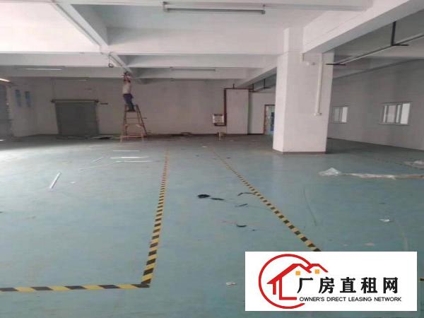  长安沙头滨海湾新区居委旁边花园式独栋办公楼招租
