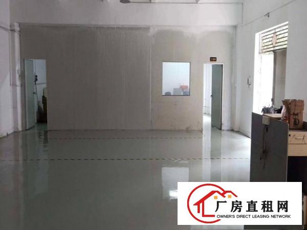  宵边小独栋厂房带豪华办公室装修