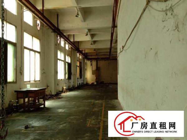  长安沙头沙区原房东一楼厂房900平加宿舍一层500