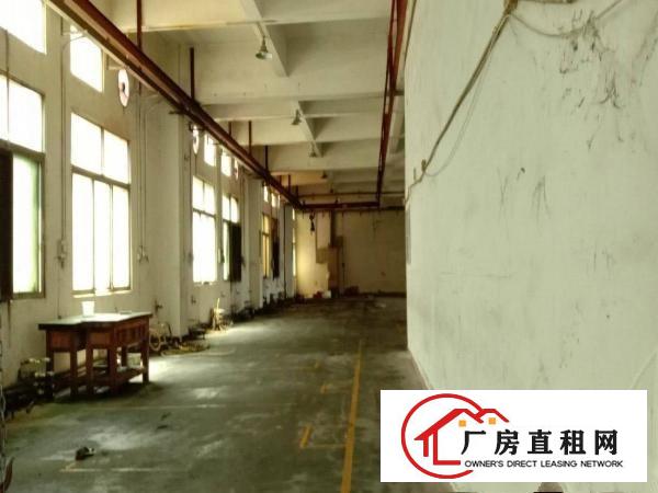  长安沙头沙区原房东一楼厂房900平加宿舍一层500