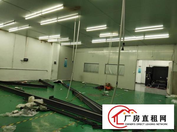  长安街口新出一楼800平带精装修，车间水电到位