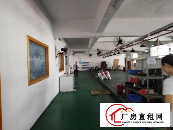  长安乌沙新安大桥旁500平出租已分割好口罩仓库