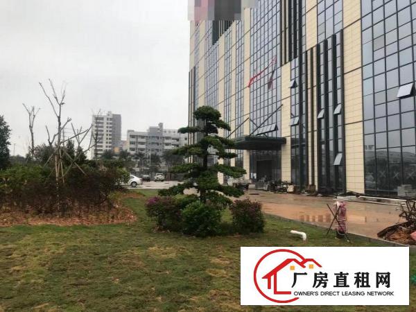  长安上沙沿江高速，新出独院50000平方，可以大小分租