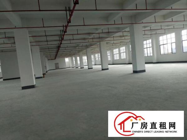  长安上沙沿江高速，新出独院50000平方，可以大小分租