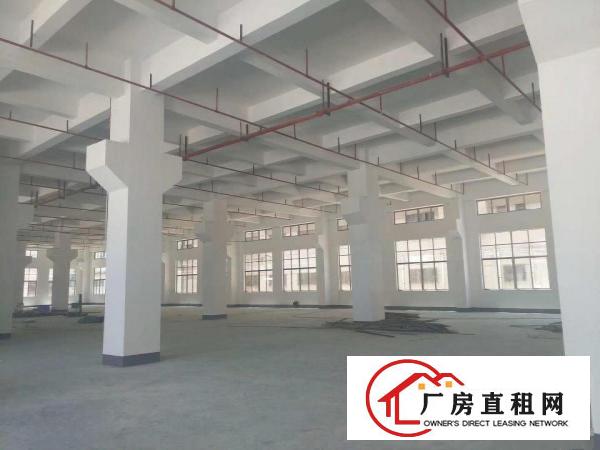  长安上沙沿江高速，新出独院50000平方，可以大小分租