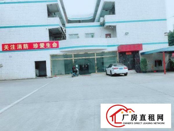  长安镇上沙出租标准500平和880平厂房有装修可分租