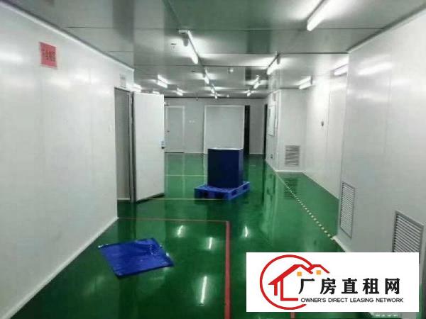 口罩客户免费租，2000平无尘车间长安，房东提点抽成