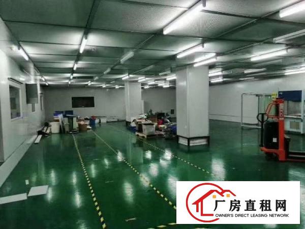  口罩客户免费租，2000平无尘车间长安，房东提点抽成