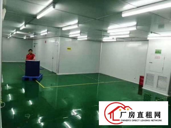  口罩客户免费租，2000平无尘车间长安，房东提点抽成