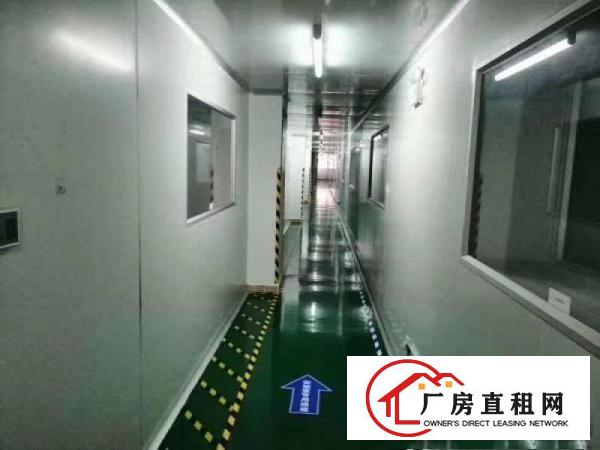  口罩客户免费租，2000平无尘车间长安，房东提点抽成