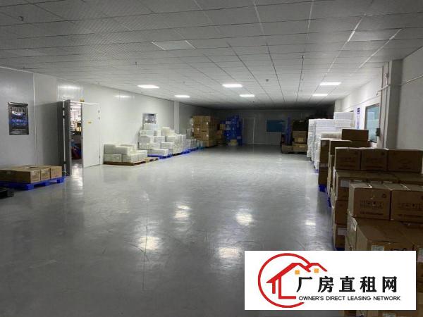  长安镇沙头滨海新区原房东厂房