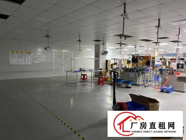  长安镇沙头滨海新区原房东厂房