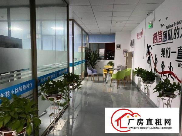  长安镇沙头滨海新区原房东厂房