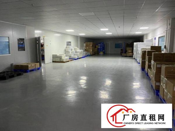  长安镇沙头滨海新区原房东厂房