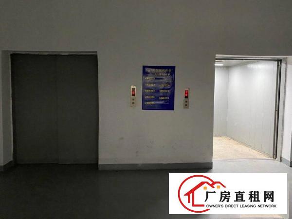  长安镇沙头滨海新区原房东厂房