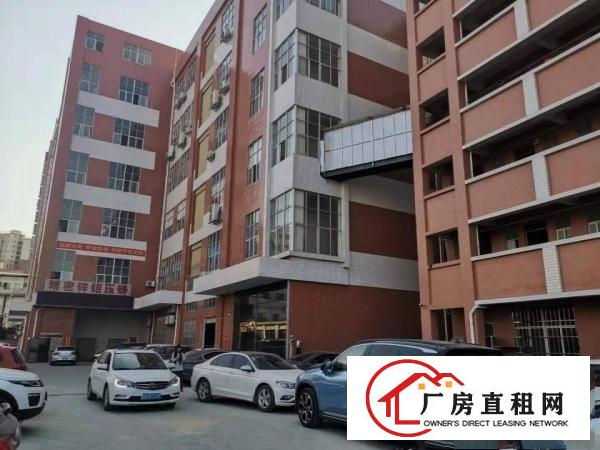  长安沙头精装修新厂房招租1488平方可分租