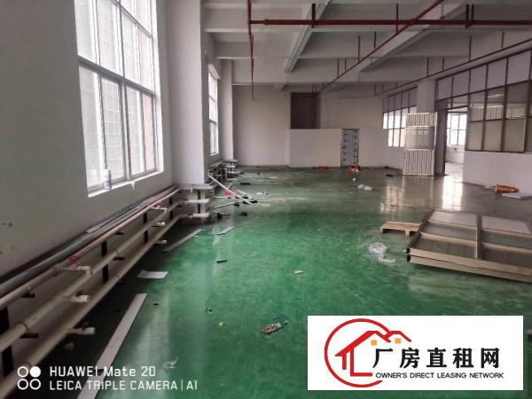  长安沙头精装修新厂房招租1488平方可分租