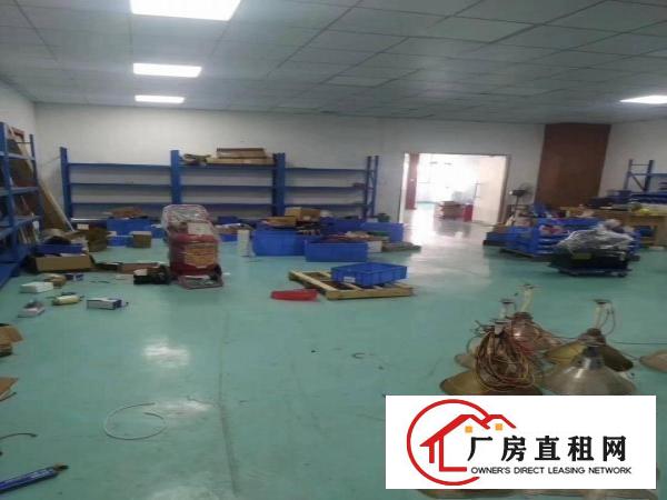  长安沙头滨海湾新区居委旁三楼精装1800平方厂房招租