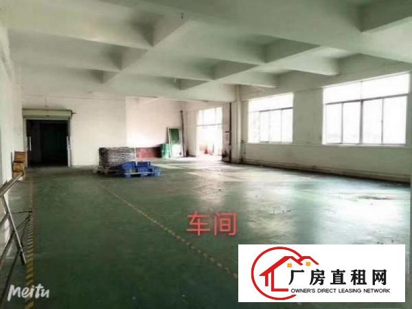  长安沙头滨海湾新区居委旁三楼精装1800平方厂房招租