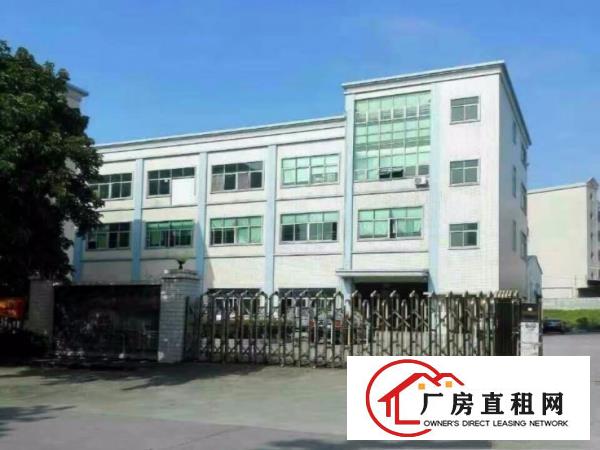  长安镇厦边原房东出租一楼1200平厂房有精装修办公室可分租