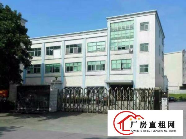  长安镇厦边原房东出租一楼1200平厂房有精装修办公室可分租
