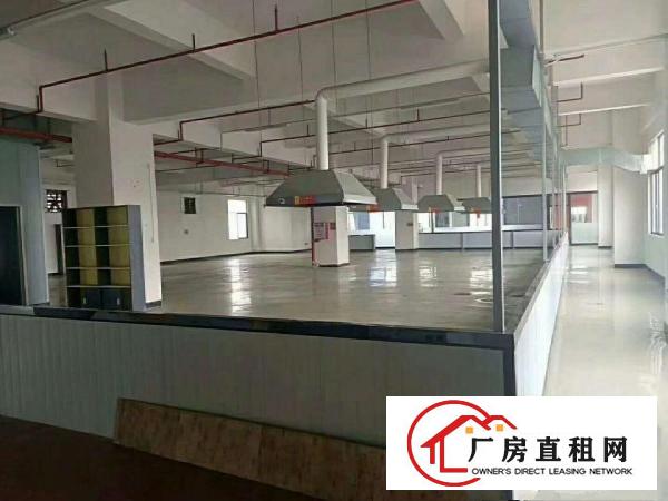  长安镇沙头新出楼上2000平方，有吊顶，带有豪华装修。