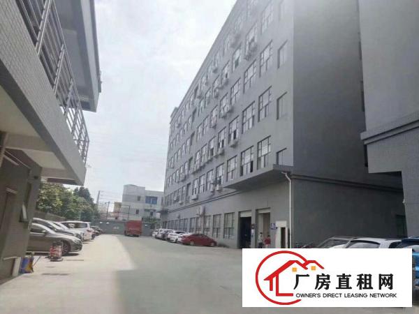  长安镇沙头新出楼上2000平方，有吊顶，带有豪华装修。