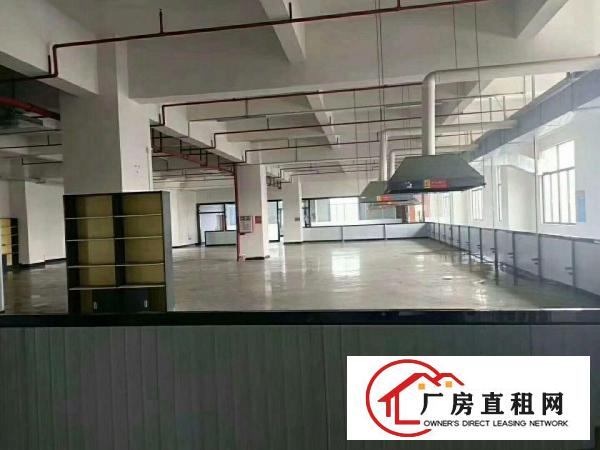  长安镇沙头新出楼上2000平方，有吊顶，带有豪华装修。